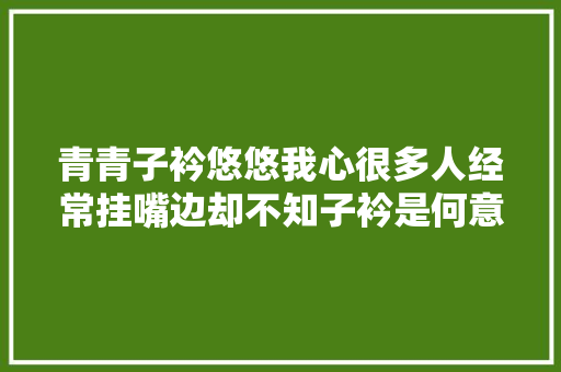 青青子衿悠悠我心很多人经常挂嘴边却不知子衿是何意