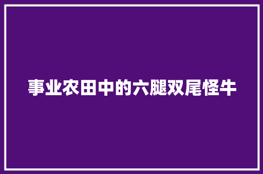 事业农田中的六腿双尾怪牛
