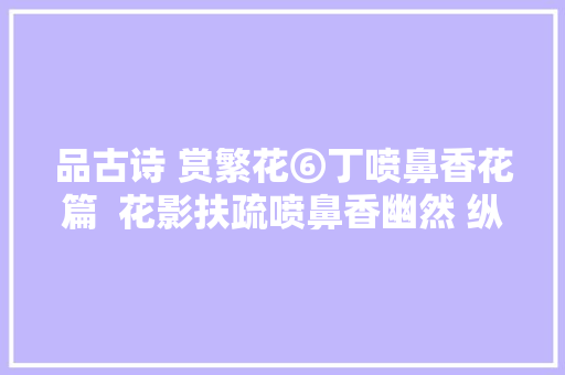 品古诗 赏繁花⑥丁喷鼻香花篇  花影扶疏喷鼻香幽然 纵放繁枝散诞春