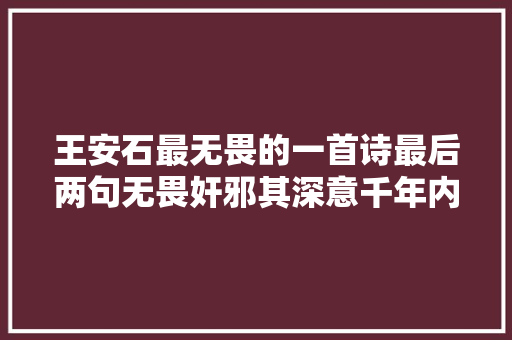 王安石最无畏的一首诗最后两句无畏奸邪其深意千年内无人超越