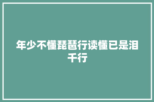 年少不懂琵琶行读懂已是泪千行