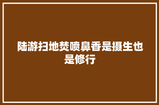 陆游扫地焚喷鼻香是摄生也是修行