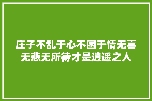 庄子不乱于心不困于情无喜无悲无所待才是逍遥之人