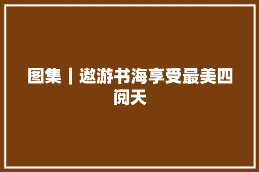 图集｜遨游书海享受最美四阅天