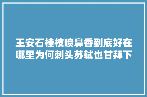王安石桂枝喷鼻香到底好在哪里为何刺头苏轼也甘拜下风