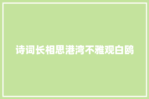 诗词长相思港湾不雅观白鸥