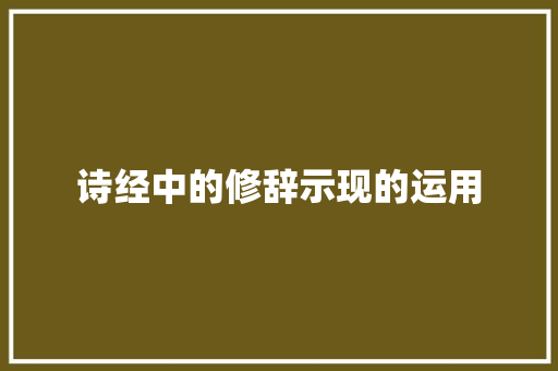 诗经中的修辞示现的运用