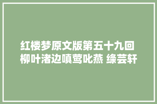 红楼梦原文版第五十九回 柳叶渚边嗔莺叱燕 绦芸轩里召将飞符