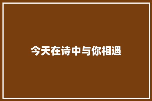 今天在诗中与你相遇