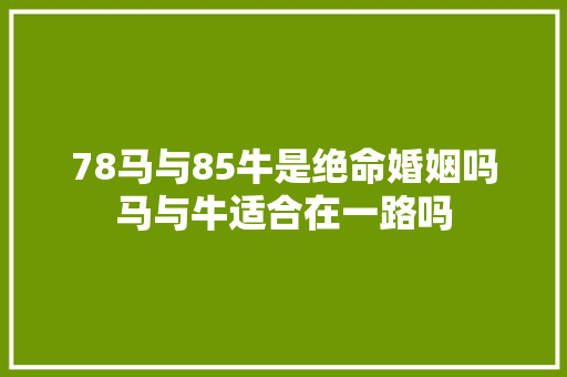 78马与85牛是绝命婚姻吗马与牛适合在一路吗