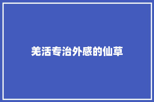 羌活专治外感的仙草