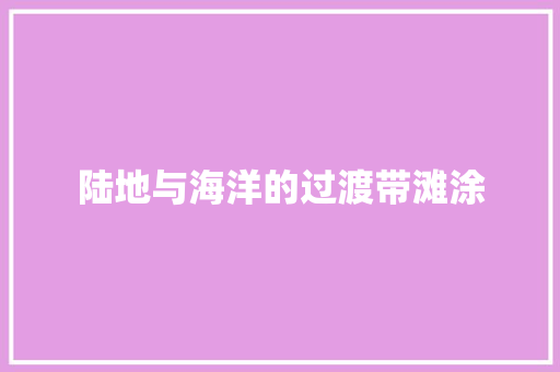 陆地与海洋的过渡带滩涂
