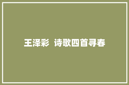 王泽彩  诗歌四首寻春