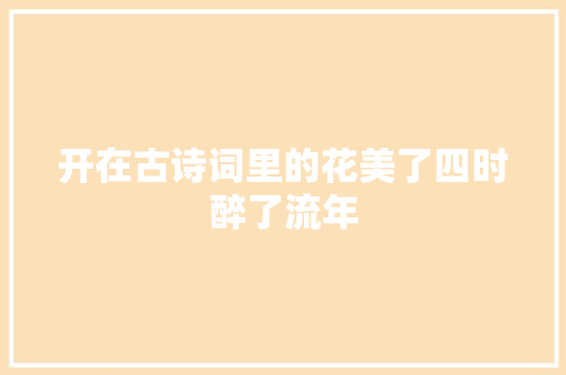 开在古诗词里的花美了四时醉了流年