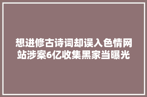 想进修古诗词却误入色情网站涉案6亿收集黑家当曝光