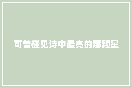 可曾碰见诗中最亮的那颗星