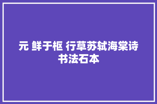 元 鲜于枢 行草苏轼海棠诗书法石本