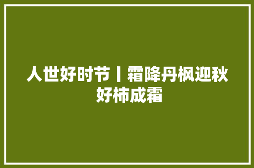 人世好时节丨霜降丹枫迎秋 好柿成霜