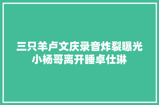 三只羊卢文庆录音炸裂曝光小杨哥离开睡卓仕琳