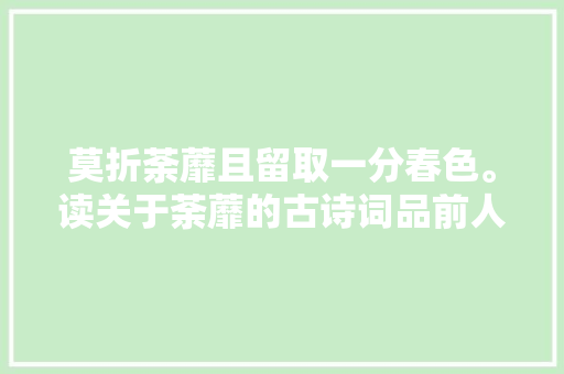 莫折荼蘼且留取一分春色。读关于荼蘼的古诗词品前人心境