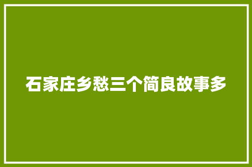 石家庄乡愁三个简良故事多