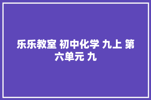乐乐教室 初中化学 九上 第六单元 九