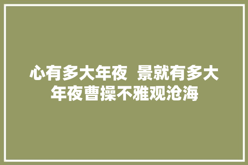 心有多大年夜  景就有多大年夜曹操不雅观沧海