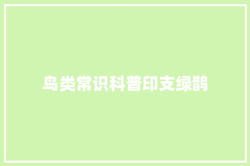 鸟类常识科普印支绿鹊