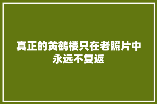 真正的黄鹤楼只在老照片中永远不复返