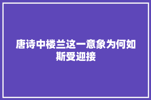 唐诗中楼兰这一意象为何如斯受迎接