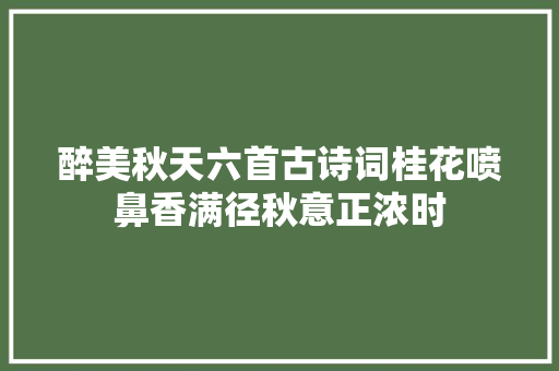 醉美秋天六首古诗词桂花喷鼻香满径秋意正浓时