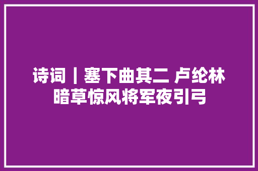 诗词｜塞下曲其二 卢纶林暗草惊风将军夜引弓
