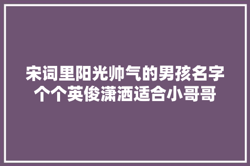 宋词里阳光帅气的男孩名字个个英俊潇洒适合小哥哥