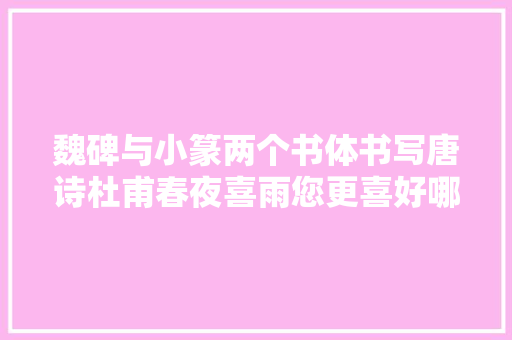 魏碑与小篆两个书体书写唐诗杜甫春夜喜雨您更喜好哪一个