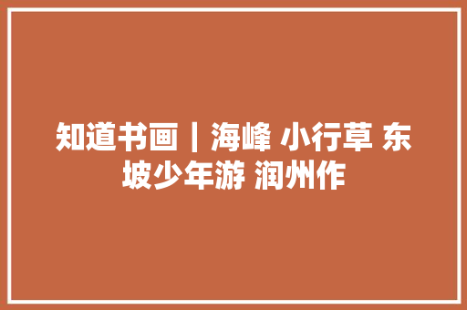 知道书画｜海峰 小行草 东坡少年游 润州作