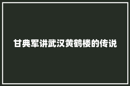 甘典军讲武汉黄鹤楼的传说