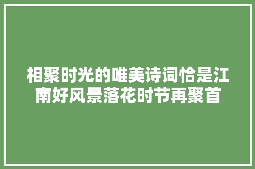 相聚时光的唯美诗词恰是江南好风景落花时节再聚首