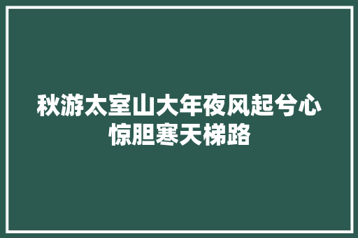 秋游太室山大年夜风起兮心惊胆寒天梯路
