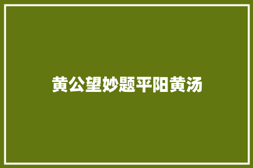 黄公望妙题平阳黄汤