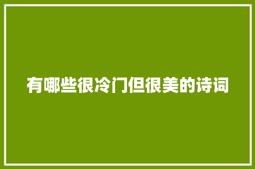 有哪些很冷门但很美的诗词