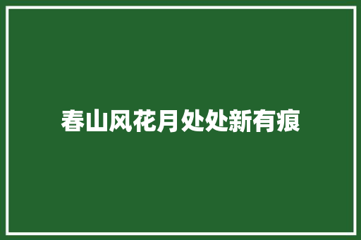 春山风花月处处新有痕