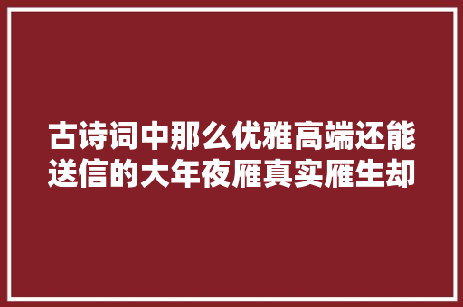 古诗词中那么优雅高端还能送信的大年夜雁真实雁生却让人泪目