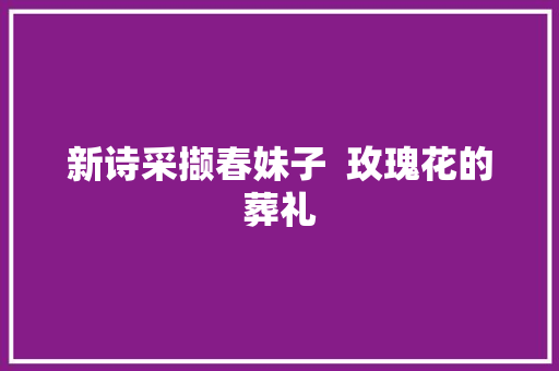 新诗采撷春妹子  玫瑰花的葬礼