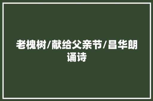老槐树/献给父亲节/昌华朗诵诗