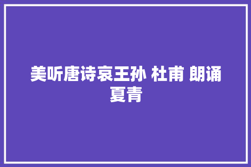美听唐诗哀王孙 杜甫 朗诵夏青
