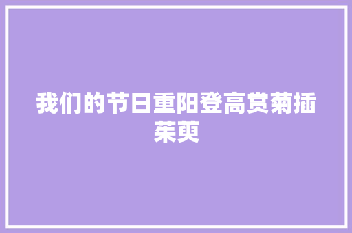 我们的节日重阳登高赏菊插茱萸