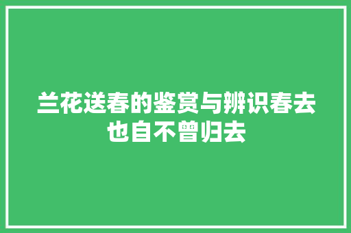 兰花送春的鉴赏与辨识春去也自不曾归去