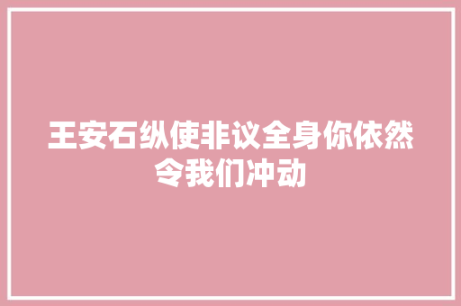 王安石纵使非议全身你依然令我们冲动