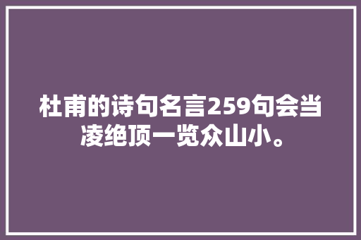 杜甫的诗句名言259句会当凌绝顶一览众山小。