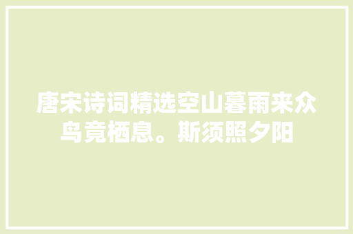 唐宋诗词精选空山暮雨来众鸟竟栖息。斯须照夕阳